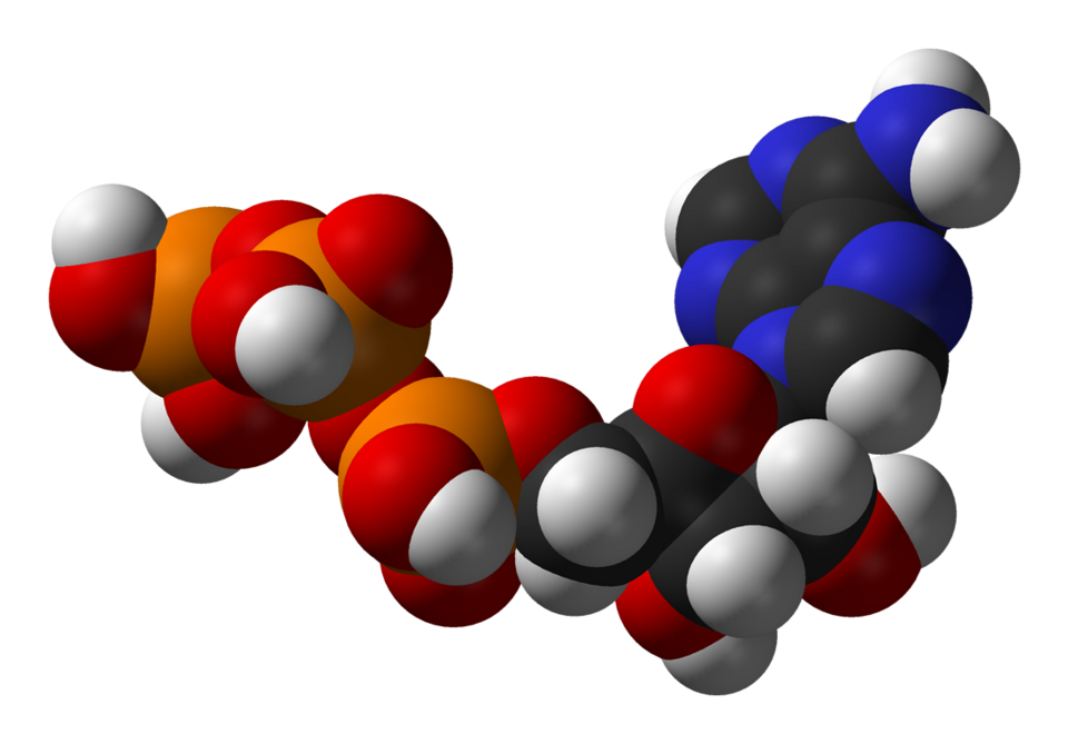 Cortisol molecule render