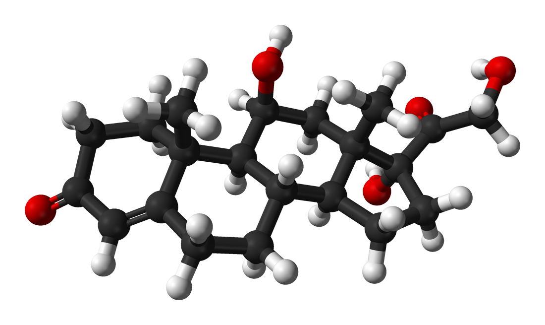 Metabolism molecule render