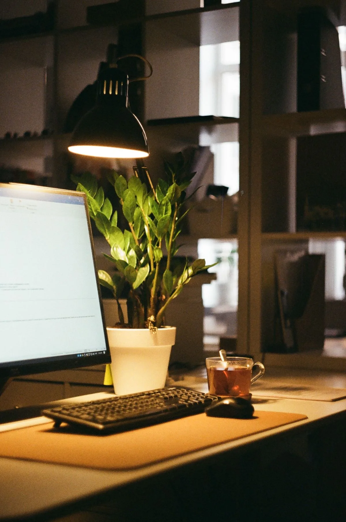Warm-lit desk with lamp, plant and tea cup — office lighting and temperature for circadian health